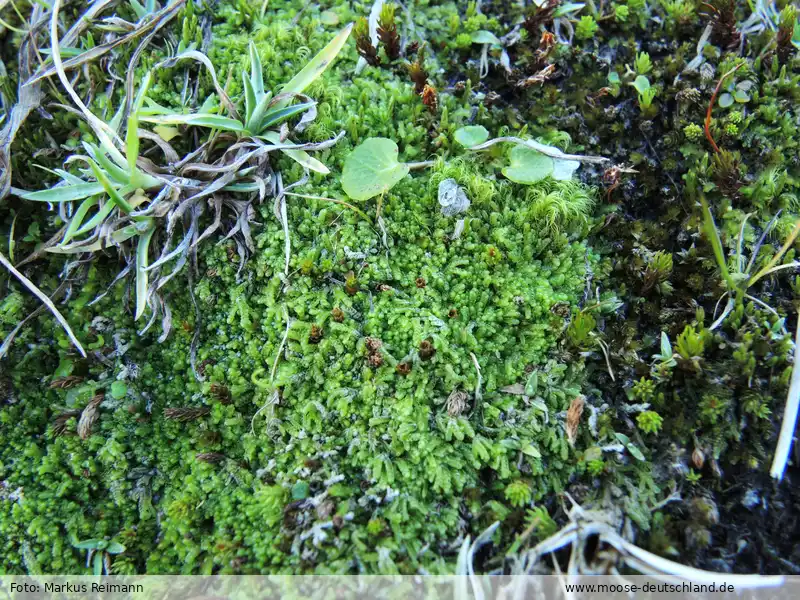 Habitus | Foto von Markus Reimann