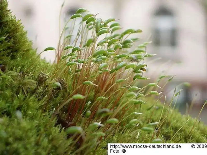 Habitus | Foto von Michael Lüth