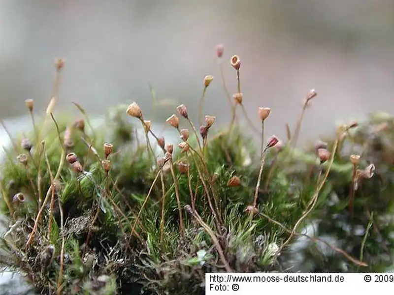 Habitus | Foto von Michael Lüth