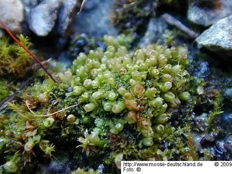 Habitus | Foto von Michael Lüth
