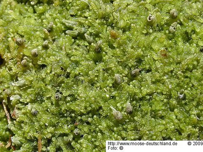 Habitus | Foto von Michael Lüth