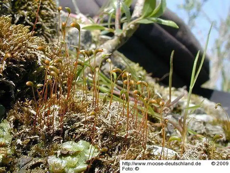 Habitus | Foto von Michael Lüth