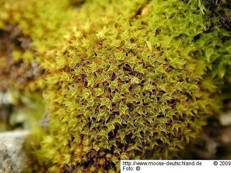 Habitus | Foto von Michael Lüth
