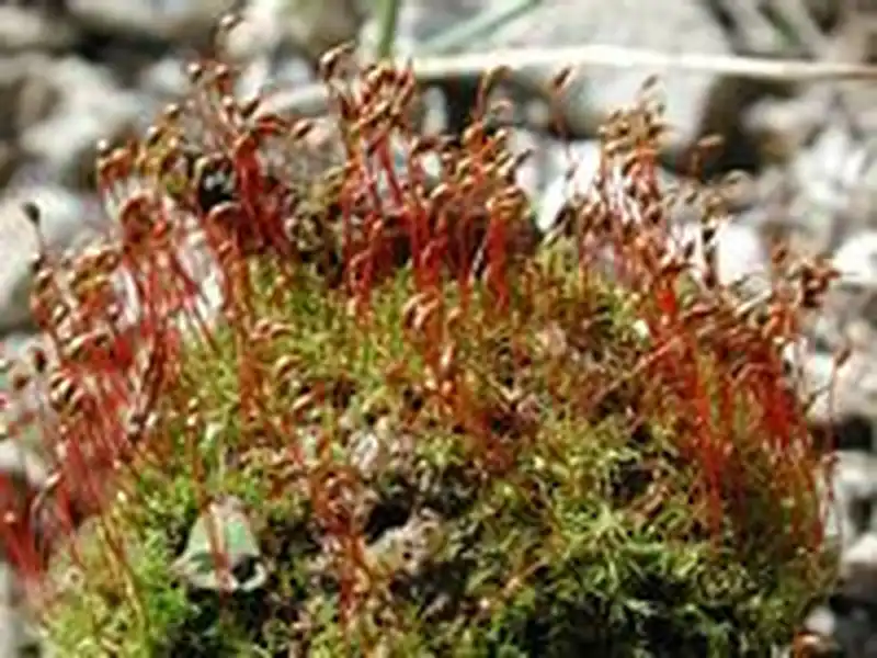 Habitus | Foto von Michael Lüth