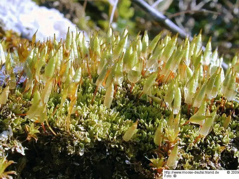 Habitus | Foto von Wolfgang von Brackel