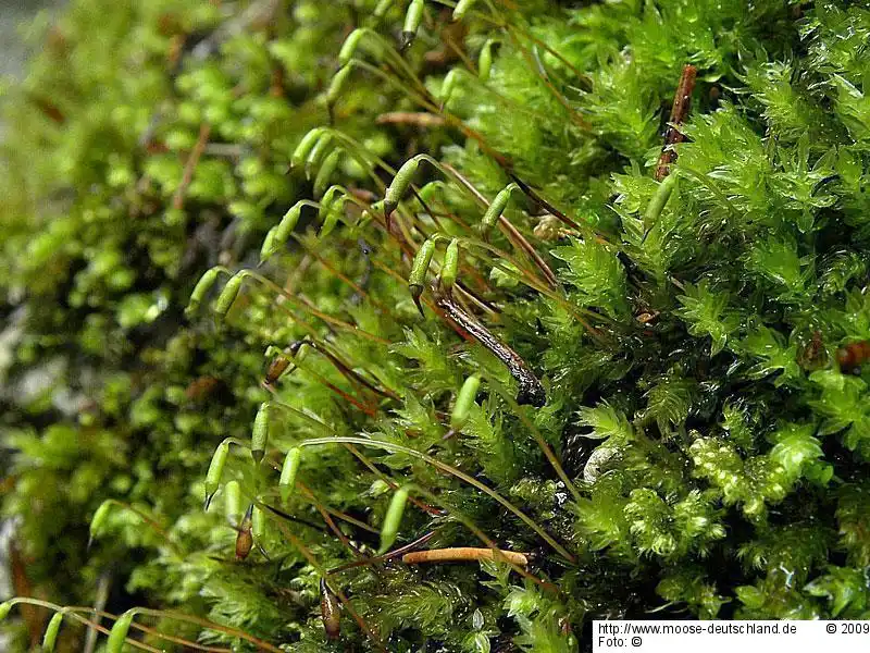 Habitus | Foto von Michael Lüth
