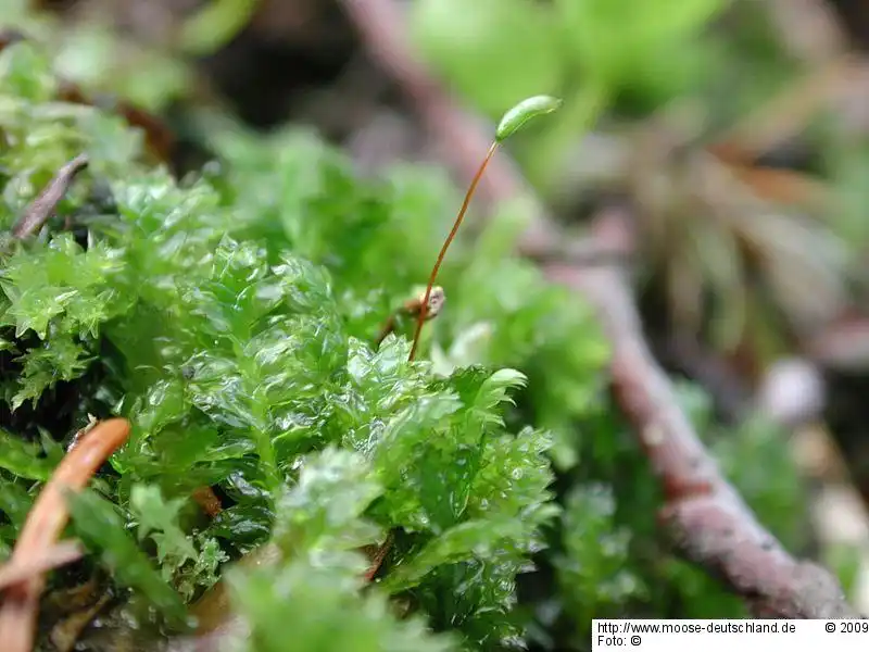 Habitus | Foto von Michael Lüth