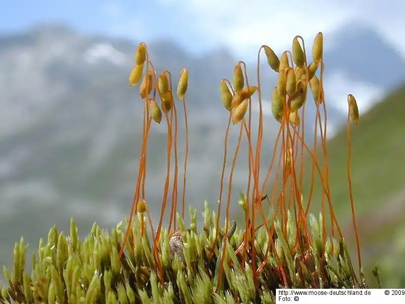 Habitus | Foto von Michael Lüth