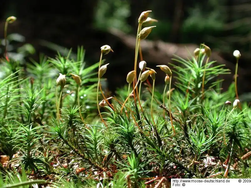 Habitus | Foto von Michael Lüth