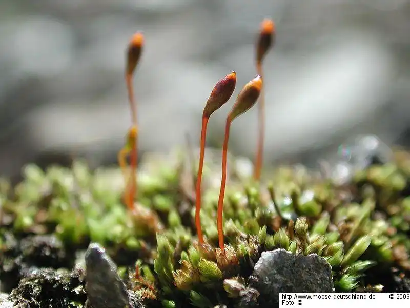 Habitus | Foto von Michael Lüth