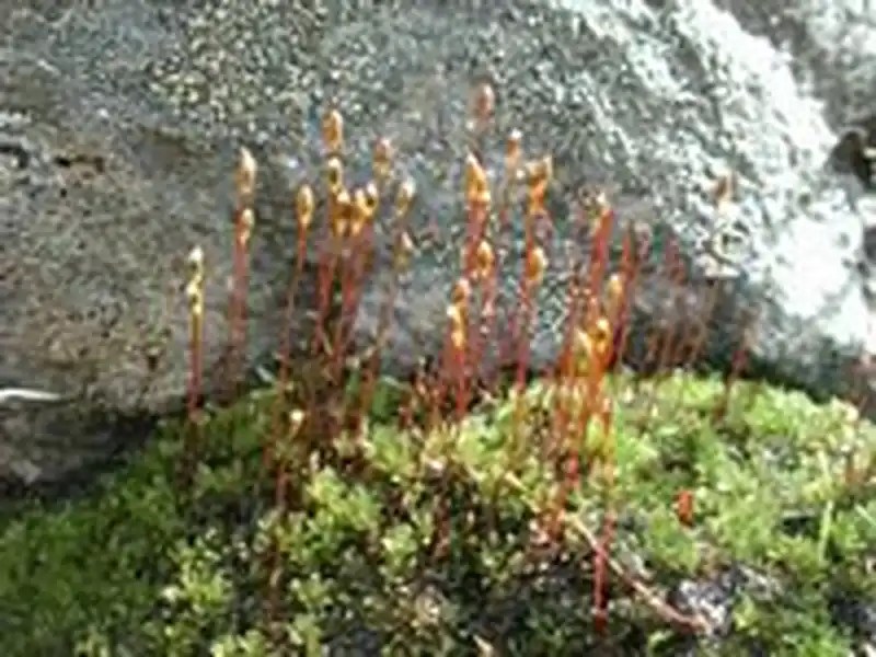 Habitus | Foto von Michael Lüth