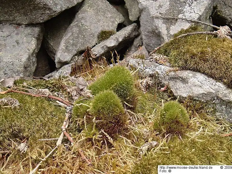 Standort | Foto von Markus Reimann
