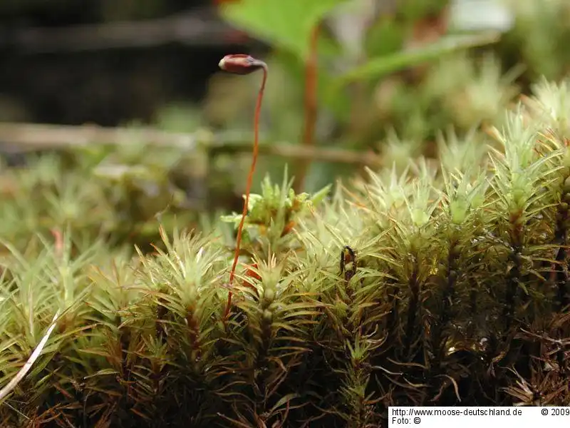 Habitus | Foto von Michael Lüth